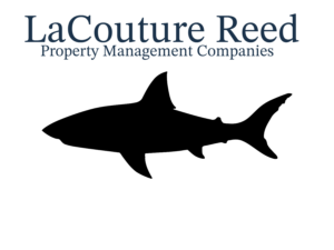 you doodle 2026 03 14t16 53 27z